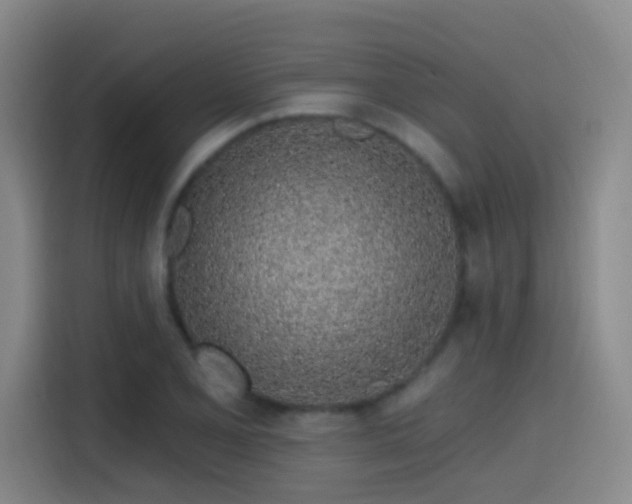 X0000116111077200911231141