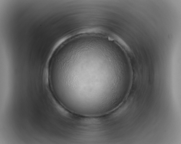 X0000116111079200911231141