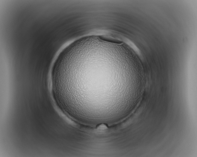 X0000116111080200911231141