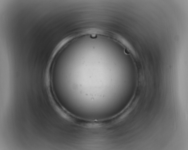 X0000116111082200911231141