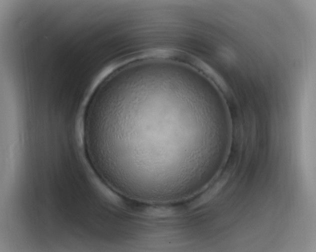 X0000116111083200911231141