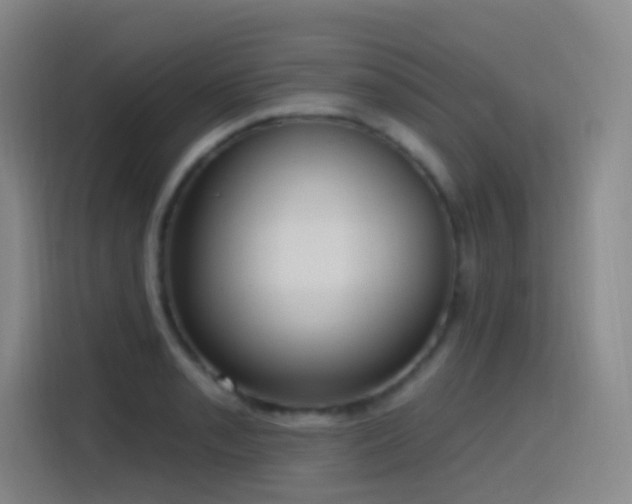 X0000116111085200911231141