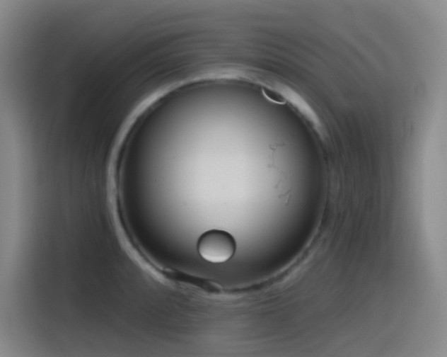 X0000116111088200911231141