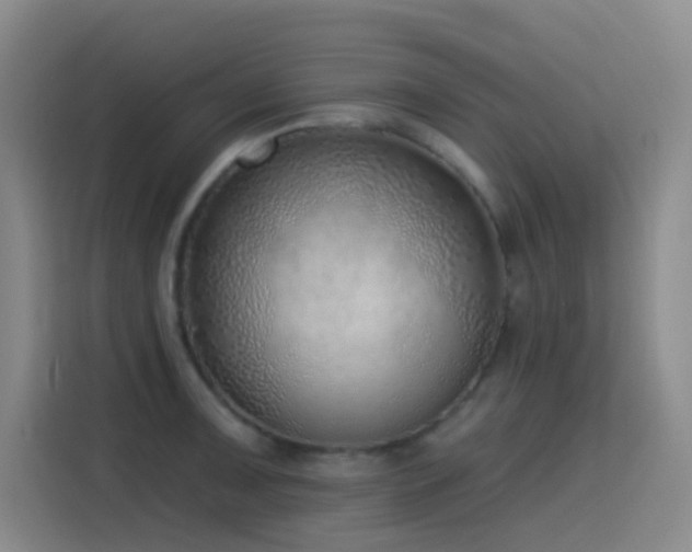 X0000116111091200911231140