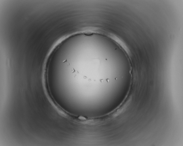 X0000116111093200911231140