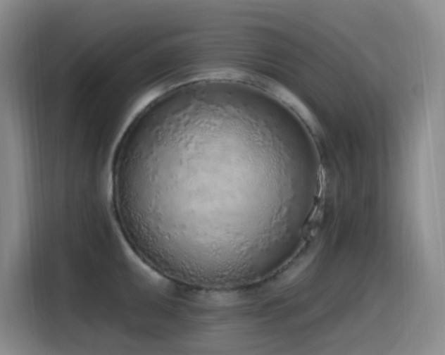 X0000116111095200911231140
