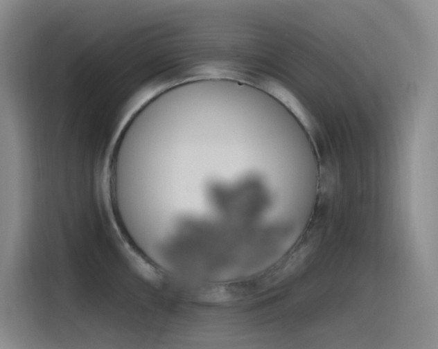 X0000116111098200911231140