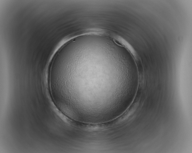 X0000116111099200911231140