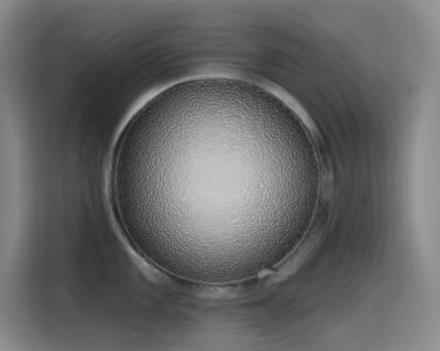 X0000116111101200911231140