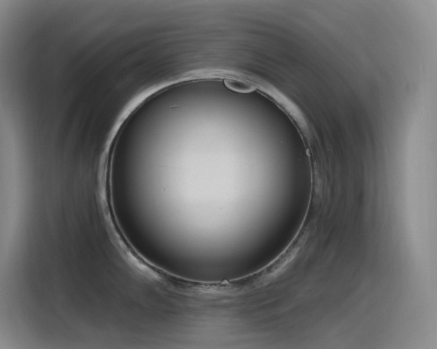 X0000116111102200911231140