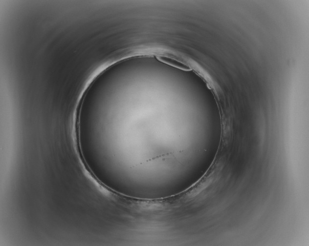 X0000116111103200911231140