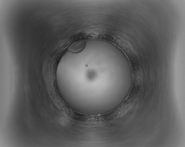 X0000116111105200911231140