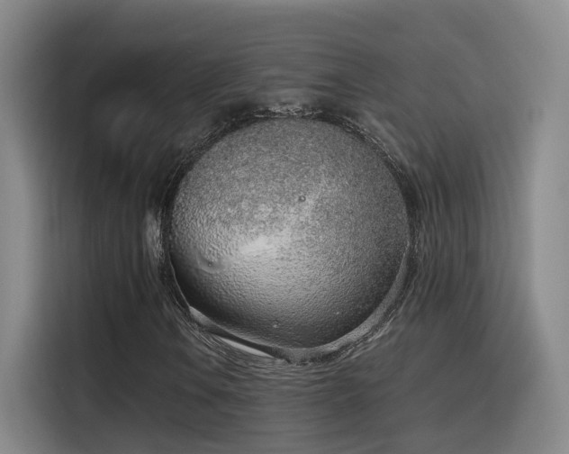 X0000116111106200911231140