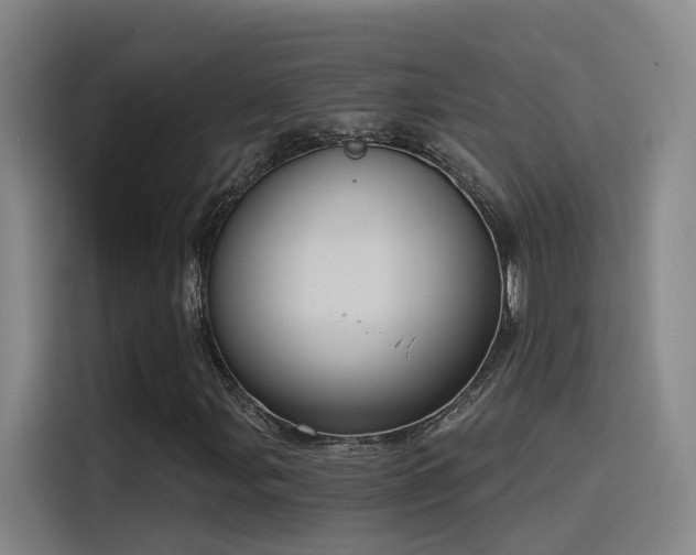 X0000116111107200911231140