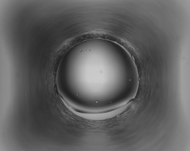 X0000116111110200911231140