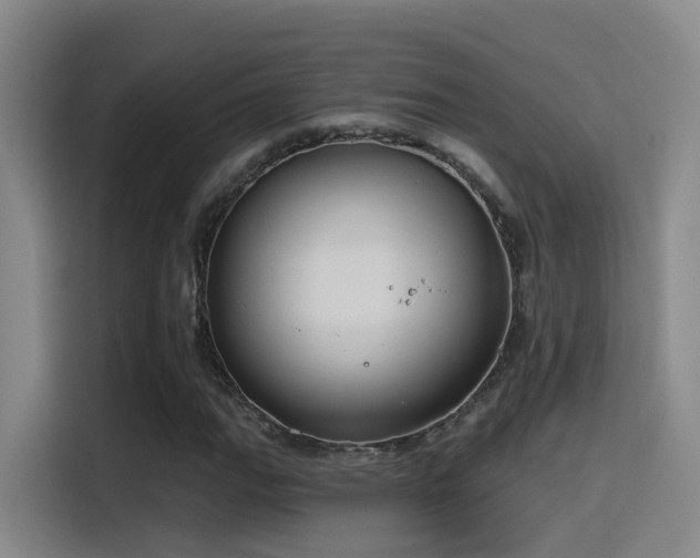 X0000116111111200911231140