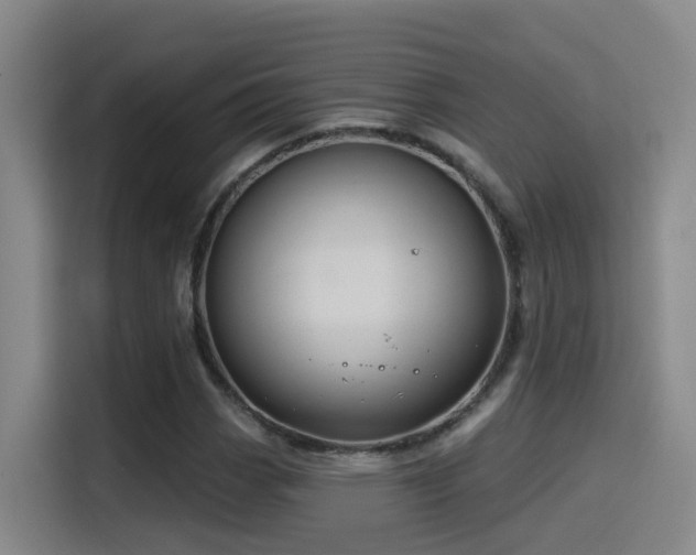 X0000116111113200911231140