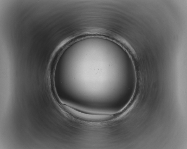 X0000116111114200911231140