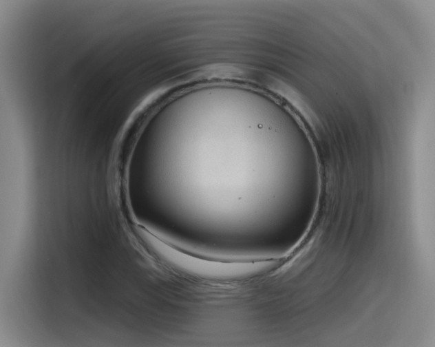 X0000116111115200911231140