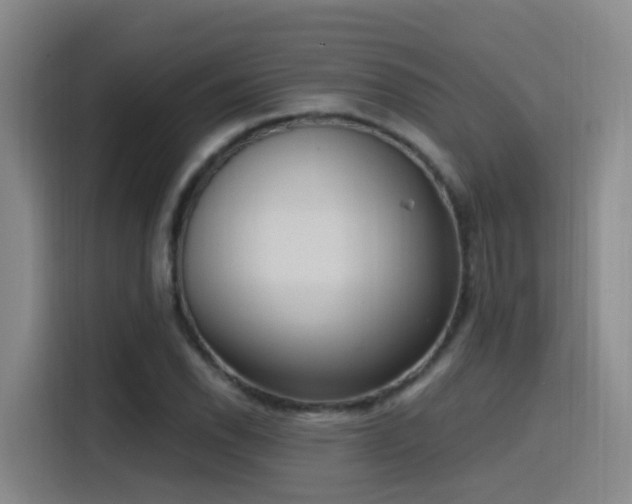X0000116111118200911231140