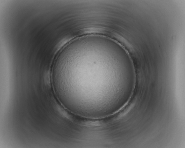 X0000116111121200911231140