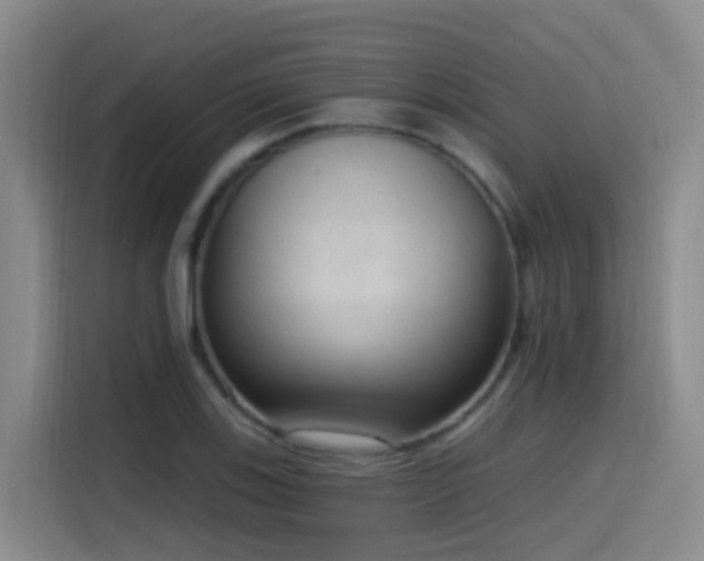 X0000116111123200911231140