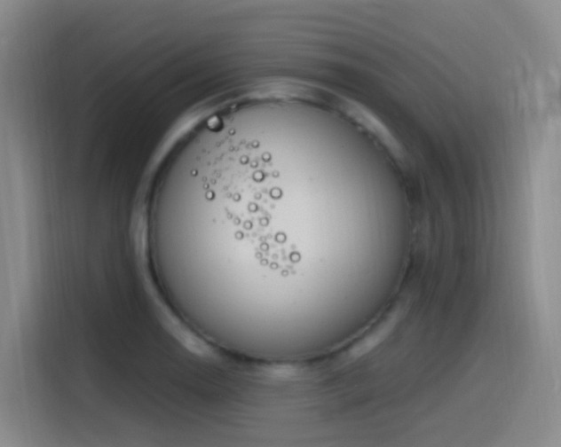X0000116111130200911231140