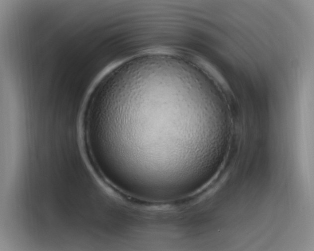 X0000116111133200911231140