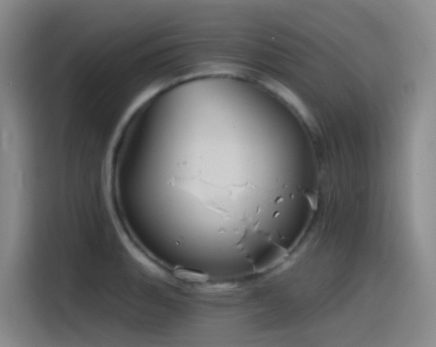 X0000116111135200911231140
