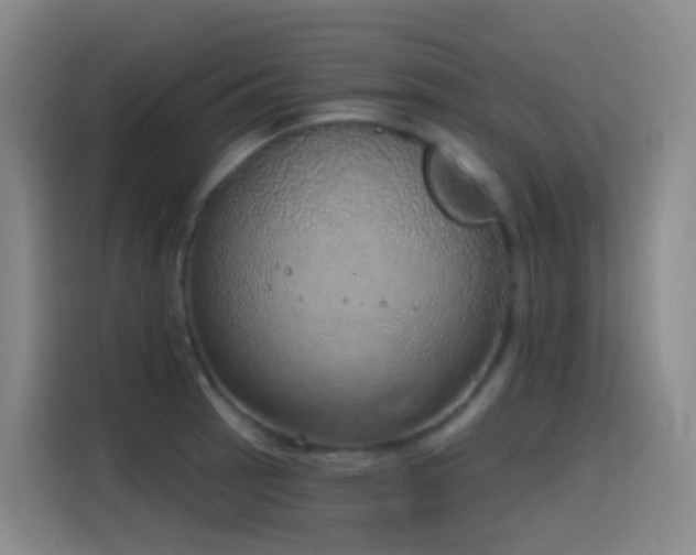 X0000116111137200911231140