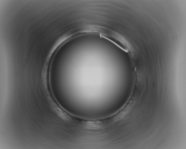 X0000116111138200911231140
