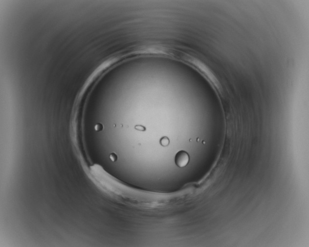 X0000116111139200911231140