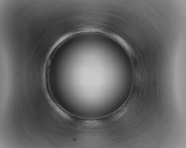X0000116111142200911231140