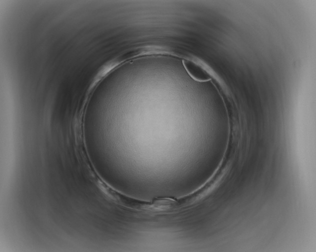X0000116111145200911231140