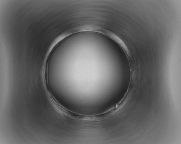X0000116111146200911231140