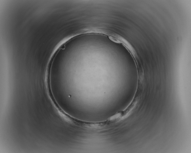 X0000116111149200911231140
