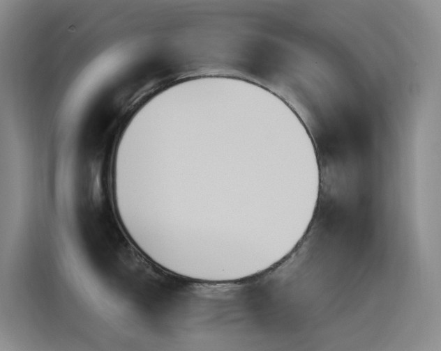 X0000116111150200911231140