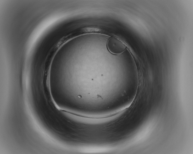 X0000116111151200911231140