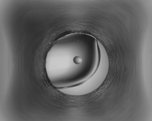 X0000116111153200911231140