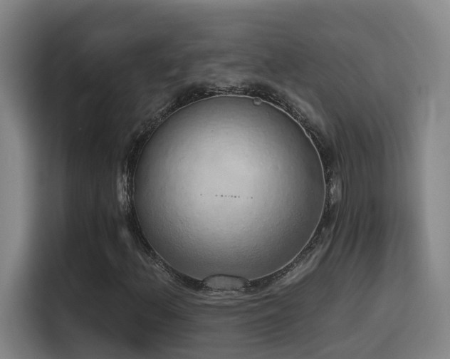 X0000116111156200911231140