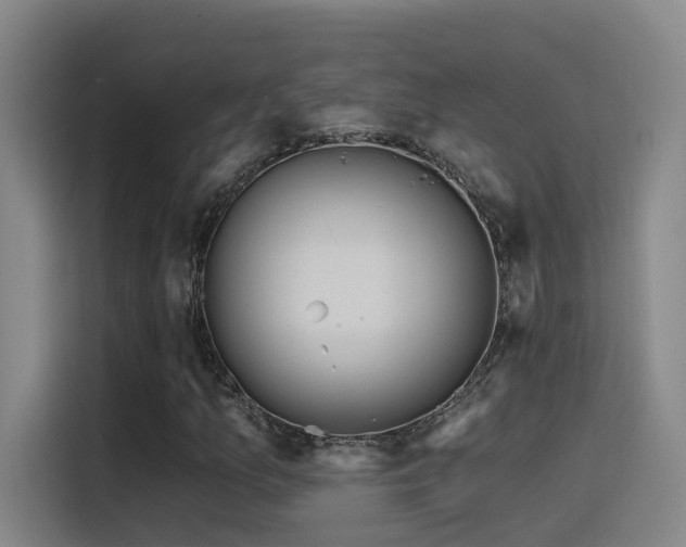 X0000116111157200911231140