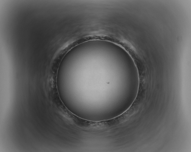 X0000116111159200911231140