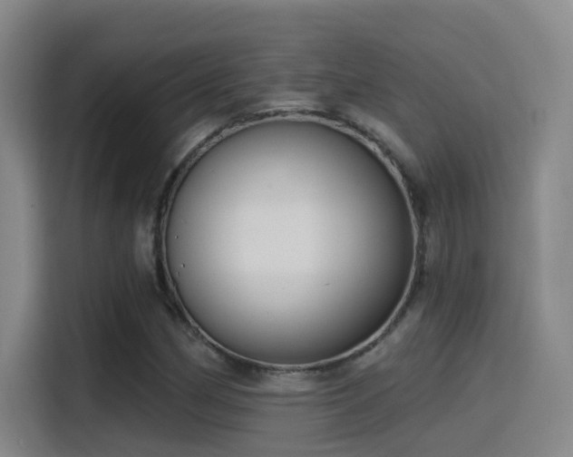 X0000116111162200911231140