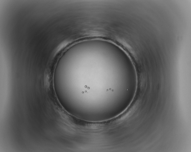 X0000116111163200911231140
