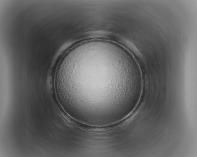 X0000116111164200911231140