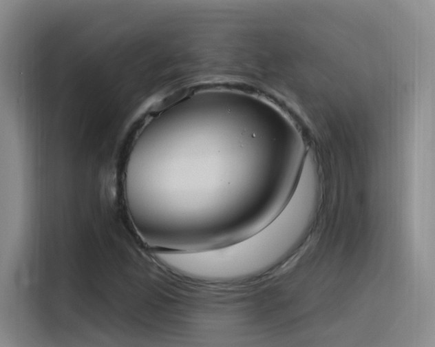 X0000116111165200911231140