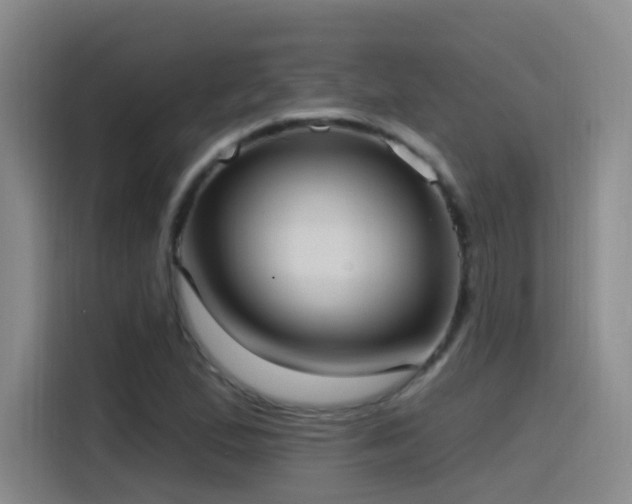 X0000116111167200911231140