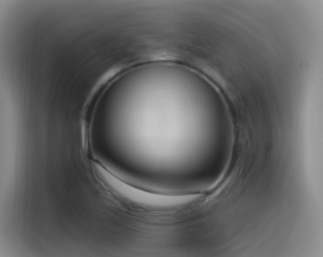 X0000116111171200911231139