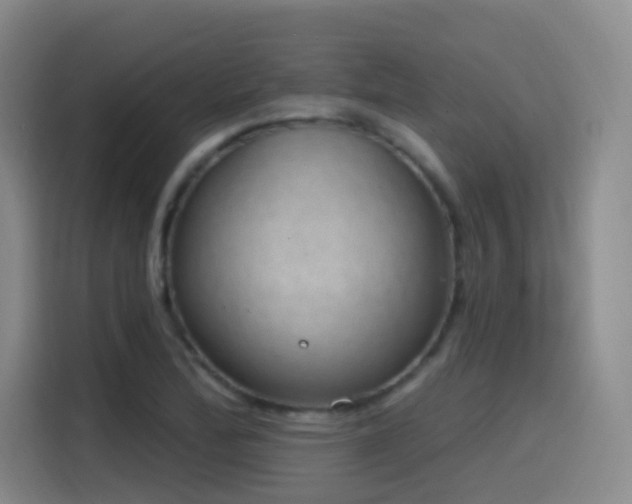 X0000116111172200911231139