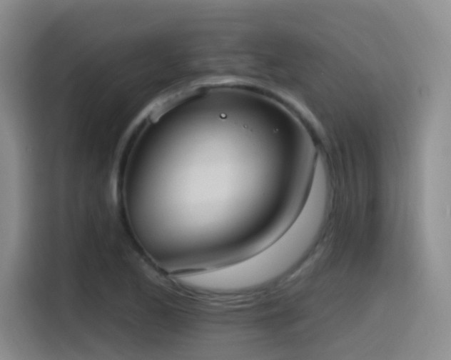 X0000116111173200911231139
